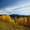 Arapaho National Forest~
Routt County, CO.