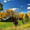 Beautifully secluded mini-ranch~
Routt County.