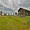 Abandoned 1890's 
farm house.
Sedgwick County, CO.