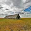 Adams County.
Austere 1950's
farm storage shed.