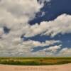 Eastern Colorado hayfield.
