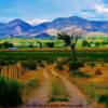 Grand Hogback Mountains-near Silt, Colorado