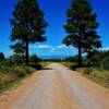 Twin Pines-San Juan Forest-southwestern Colorado