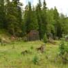 1880's mining remnants
& outhouse.
St Elmo, CO.