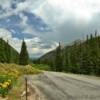 Beautiful wildflowers.
Near Georgetown, CO.