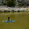 Stand Up Paddling
with the dog.
Colorado River.