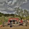 General Store.
State Bridge, CO.