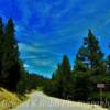 Scenic backroad-
near Red Feather Lakes~