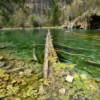 Hanging Lake.
Beautifully resting tree-trunk.