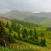 Some shrouded fog-
near Tincup, Colorado~