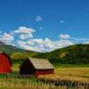 Interior Colorado-in July
(Near Basalt, Colorado)~