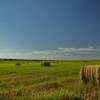 Evening Septembner harvest~
Near Fort Morgan, Colorado