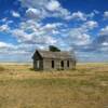 Remains of an 1930's 
ranch shed.
Weld County.