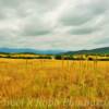 An overcast September day.
Near Colorado City.