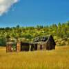 Remains of an early 1900's
Ranchers' house~
Fremont County, Colorado.