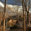 Bulls Covered Bridge.
(through the trees)
February.