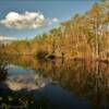 Southern everglades bayou.
Collier County, FL.