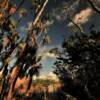 Mahogamy Hammock walkway.
Everglades National Park.