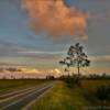 Everglades Highway 9336.
Looking east on a
November evening.