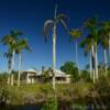Abandoned 1920's residence.
Florida's Everglades.