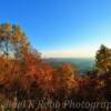 Scenic Overlook-
near Baxter, Georgia~