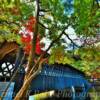 Stone Mountain Covered Bridge-
In mid-autumn~