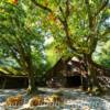 Stone Mountain State Park-
1800's Hay & Dairy Farm~
