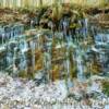 Glistening Icicles-
Northern Georgia's Cohutta National Forest-on a November morning~