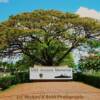 USS Arizona Memorial Entrance