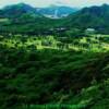 Lush scenery-near Waikiki/Honolulu