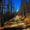 Horse Creek Pass Forestry Road