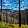 Horse Creek Canyon-near the Montana border