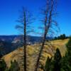 Idaho's Salmon National Forest