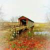 Thompsom Mill Covered Bridge~
(northern angle)