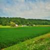 Serene agricultural setting.
Near Chillicothe, IL.