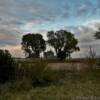 Haunted old farm house.
Henry County.