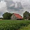 Beautifully rustic old barn.
Jackson County, Illinois.
