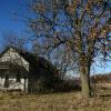 Another abandoned old
rural homestead.
Southern Illinois.