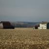 Remains of a farm 
from yesteryear.
