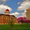 Old State Capitol Historic Site~
Springfield, llinois.