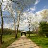 Phillips Covered bridge.
(from down the road)