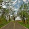 Interesting "split-in-the-road"
Near Rockville, IN.