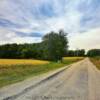 Putnam County
'country road'
Near Roachdale, IN.