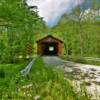 Pine Bluff Covered Bridge.
(east angle)
Bainbridge, IN.