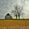 Scenic rural setting~
Near Francisco, Indiana.