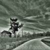 Early-mid 1900's abandoned 
homestead~
(Lawrence County, Indiana)