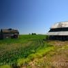 Early 1900's rancher's house & barn~
Near Panora, Iowa.