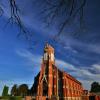 Immaculate Conception Church~
Masonville, Iowa.