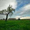 Another picturesque scene.
Western Iowa.