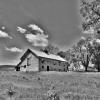 Early 1900's 'house style' barn.
Near Carson, IA.